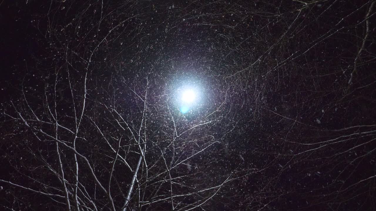 escena nocturna con nieve cayendo sobre un árbol con una lámpara detrás