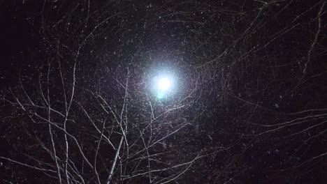 night scene with snow falling over a tree with a lamp behind