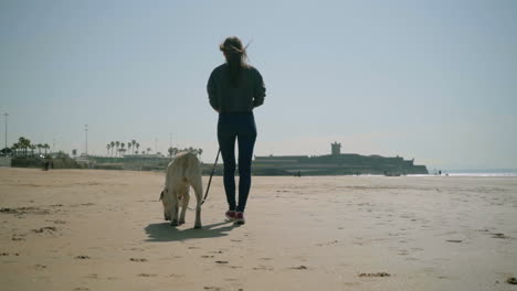 vista trasera de una joven caminando con un perro en una playa de arena.