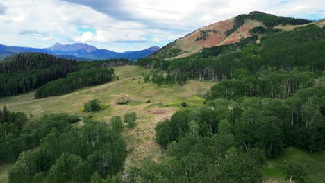 summer rocky mountains telluride airport colorado aerial drone vista ridgway last dollar road aspen trees groove forest green ouray silverton san juan mount sneffels blue sky clouds upward motion