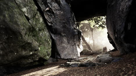 dark cave entrance to a mysterious forest