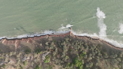 wide static aerial footage of the coast top down with trees and the ocean in the gambia