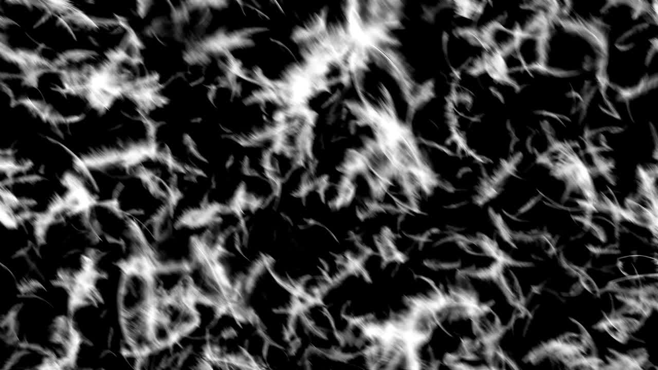 transición de las plumas que caen