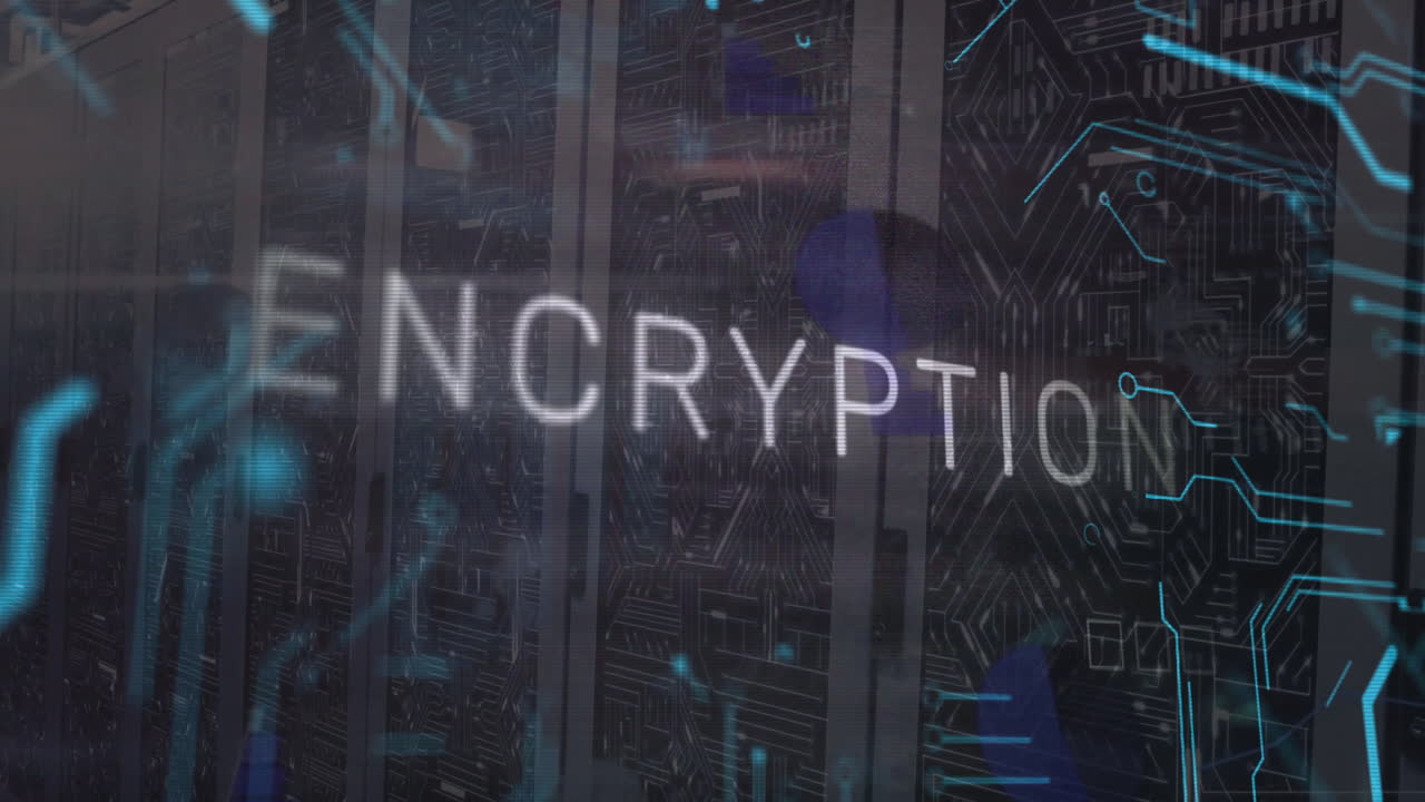animación de texto cifrado y procesamiento de datos a través de servidores informáticos