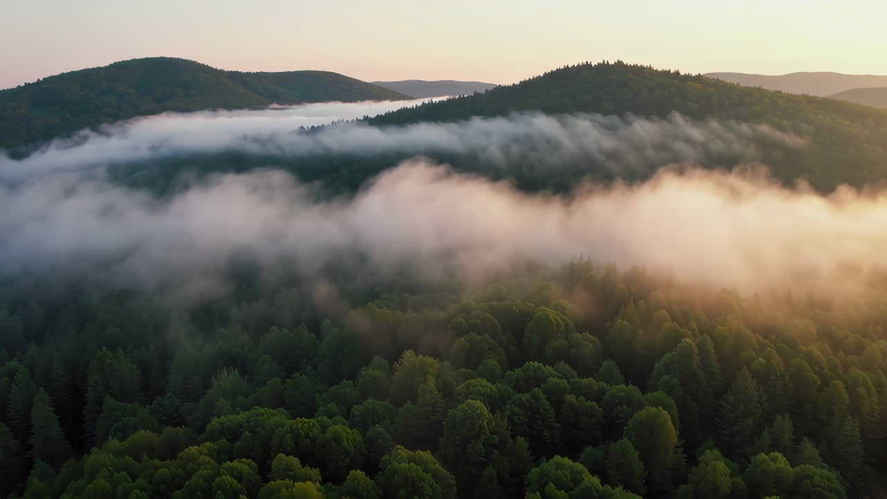 Misty Mountain Sunrise over Forest