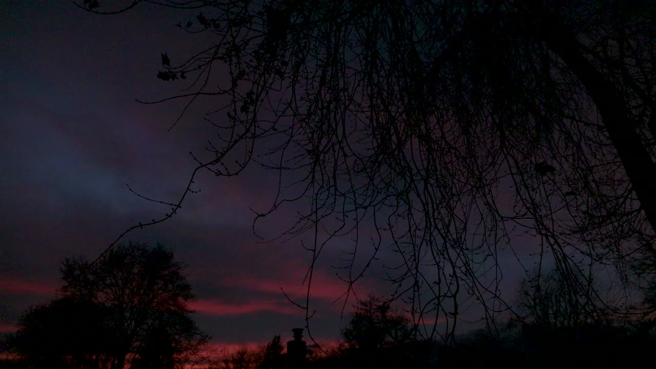 Red sunset and clouds with tree branches moving in the wind