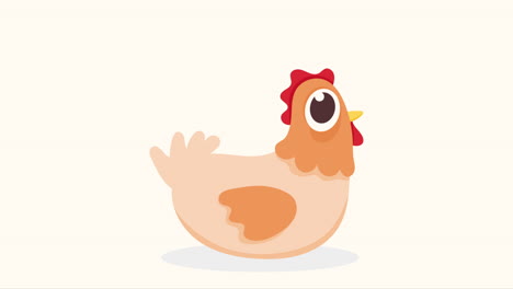 cute hen farm animal animation