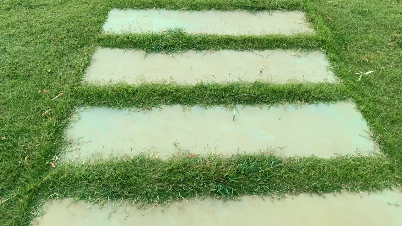 point of view shot of walking on the graden