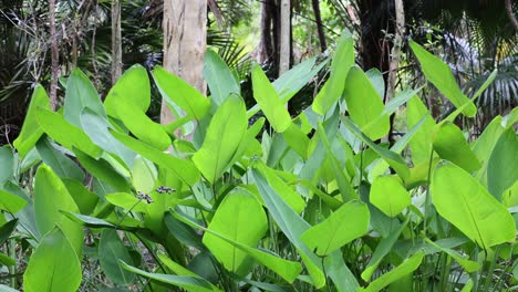 a sequence of green leaves shaking in the wind