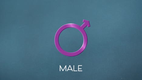 Animation-of-text-male,-with-purple-male-gender-symbol-on-grey