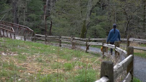 Watching-healthy-Puerto-Rican-female-walking-family-dog-following-woodland-forest-hiking-footpath