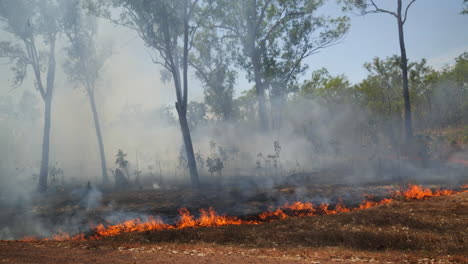 bushfire next to road