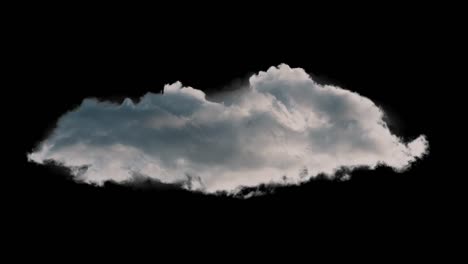 a thick blanket of clouds looms overhead, casting a grayish hue that muffles sunlight, creating a moody and atmospheric backdrop filled with potential rain, mystery, and calm.