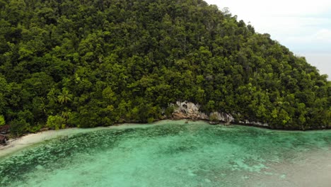tropical island with lush forest, clear turquoise water, and pier