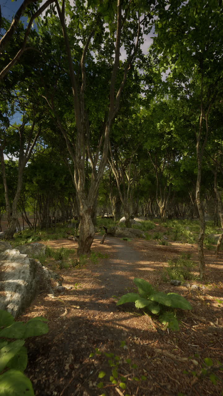 울창한 초록 숲을 가로질러 아름다운 길
