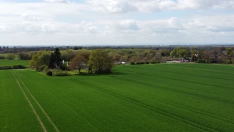 aerial view rising over rural farmland meadow growing crops in the british countryside, cheshire, england