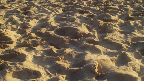 footmarks on sandy shore beach near st agnes in cornwall england, uk during summer