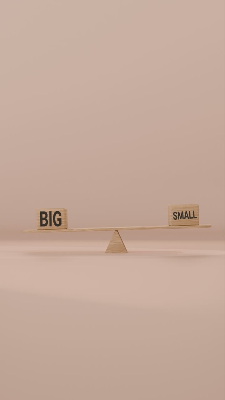 VERITCAL VIDEO OF BIG AND SMALL BALANCING ON SEESAW