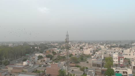 A-flock-of-pigeons-flying-in-the-blue-sky-around-the-mobile-tower-placed-in-the-residential-area-of-the-city-in-Punjab