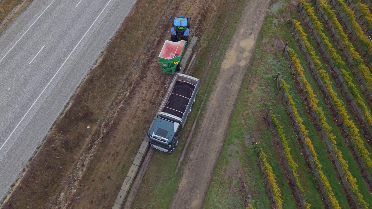 Tractor and truck work beside vineyard rows in rural Cromwell, New Zealand