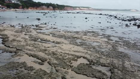 toma aérea de drones de la playa de pipa brasil