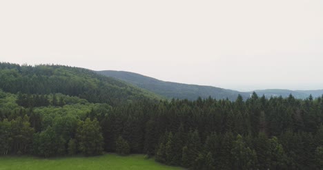 Vista-Aérea-Shot-Of-Woods-Forest-Nature-Landscape-7