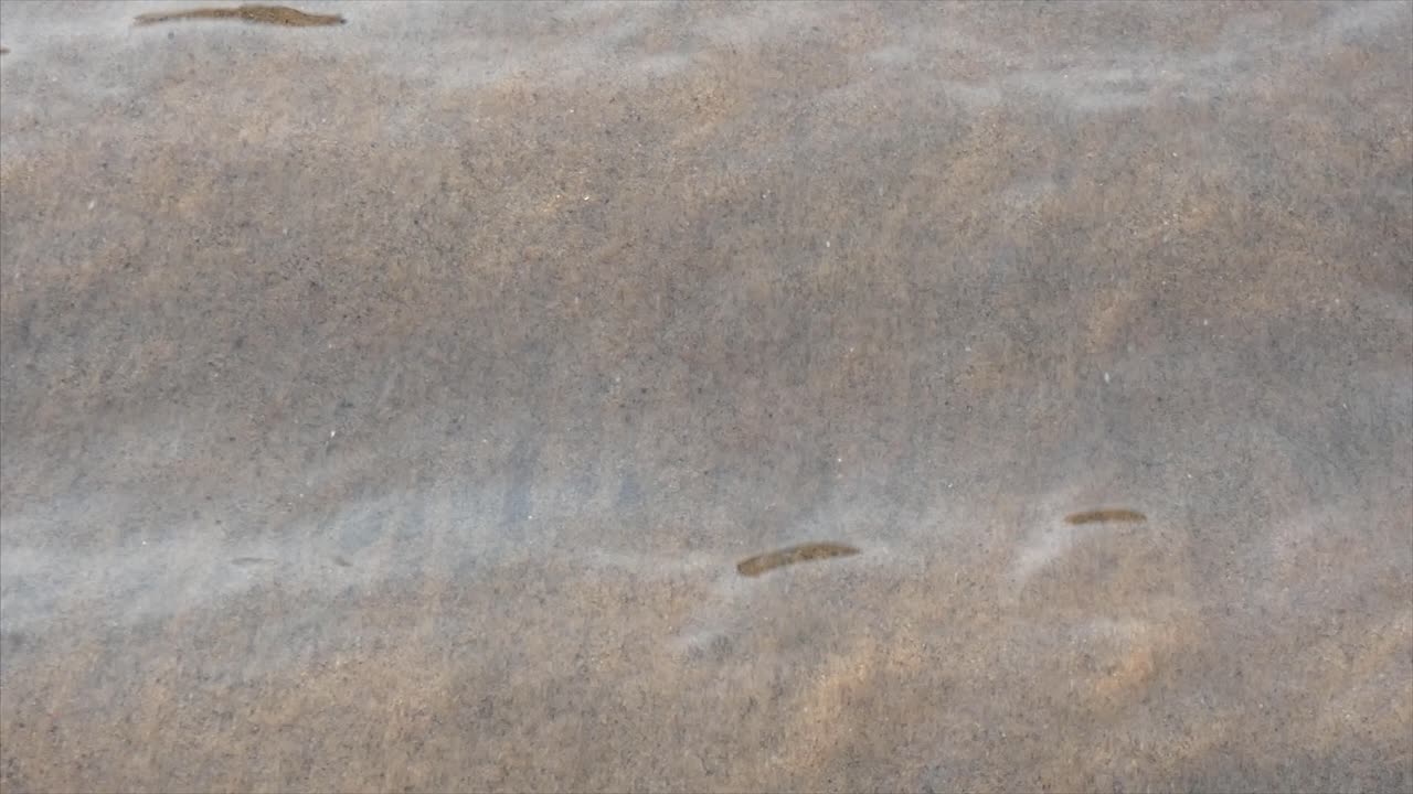 Abstract Rippling Water Surface with Submerged Sand Texture
