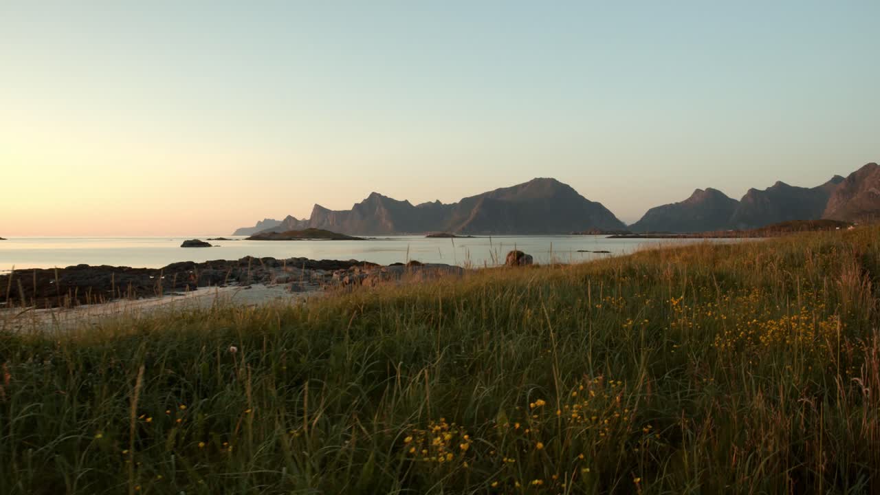 Morbida carrellata attraverso l'erba alta sulla spiaggia delle Lofoten in Norvegia.
