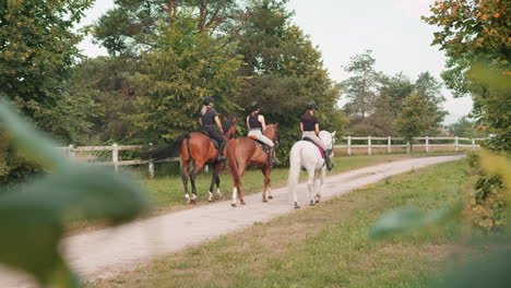 horsewomen riding horses at the equestrian center on a summer day, rear view