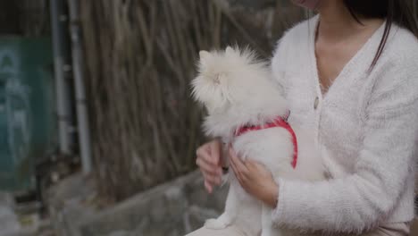 mujer y su perro al aire libre