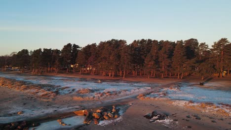 drone footage of a beautiful beach with pine forest and dunes covered in snow at sunrise