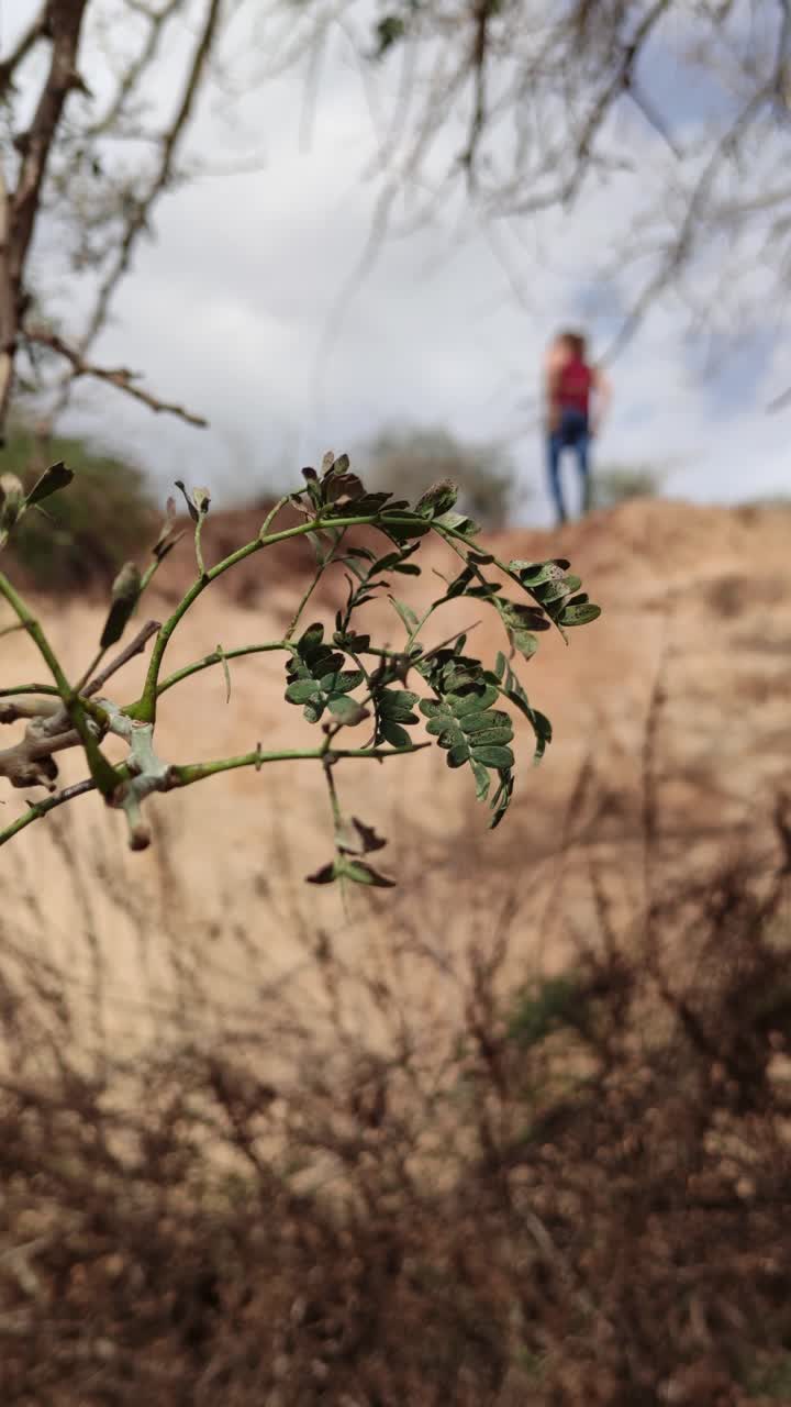 Nature Focus with a Blurred Young Man in the Distance