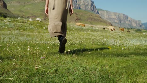 woman hiking in a mountain meadow