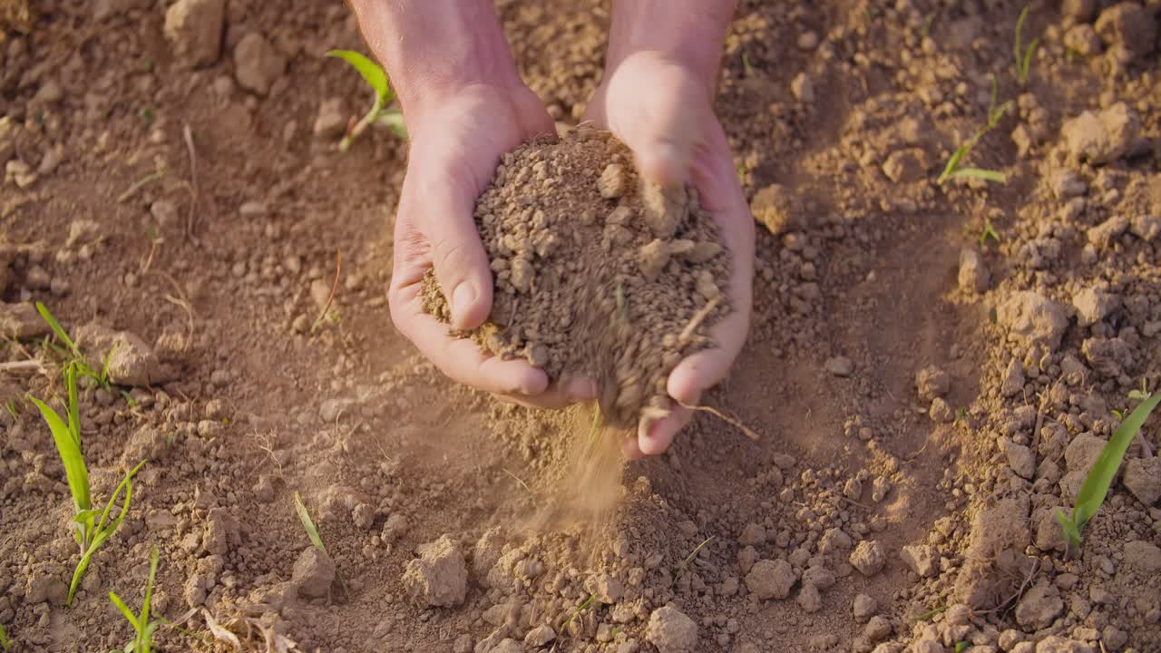 Mani del contadino che analizzano il terreno in azienda agricola