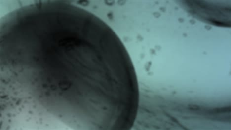 microscopio químico de bucle blanco