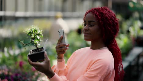 african american woman holding houseplants in greenhouse garden and taking photo of it