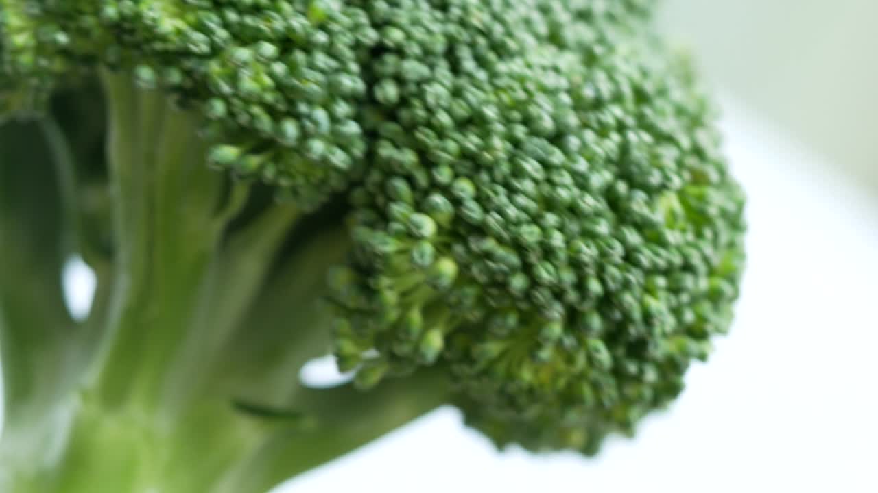Broccoli turning on white background