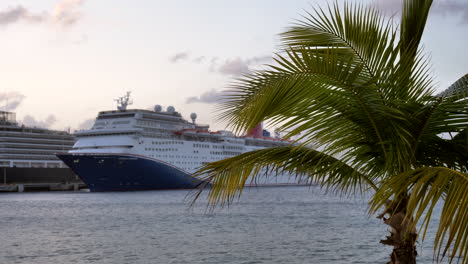 cruise ship backing our form port - focus on pam tree.