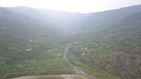 plantación de café en la selva montañosa boliviana