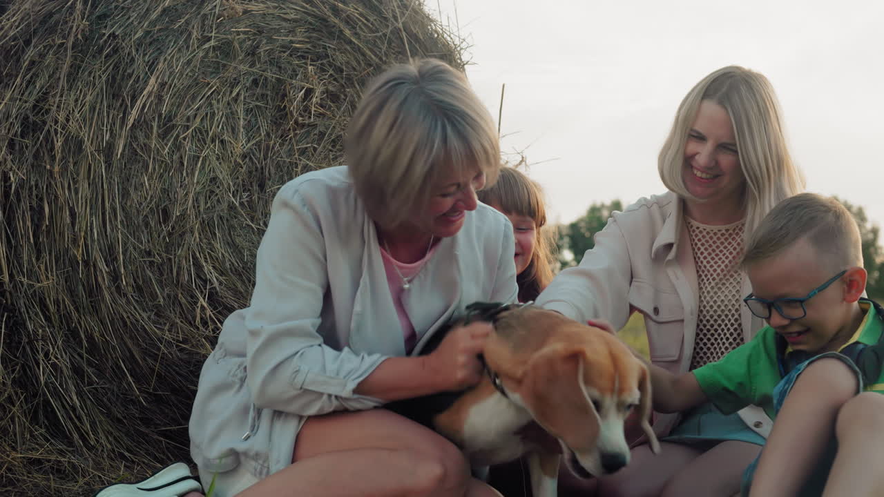 중년 여성과 그녀의 딸과 아이들은 골든 아워 동안 시골에서 가족 결합,  에 인 개와 함께 야외에서 따뜻하게 놀고 있습니다.