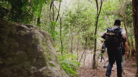 Rear-View-Of-Young-Friends-Hiking-Through-Countryside-Walking-Along-Path-Together