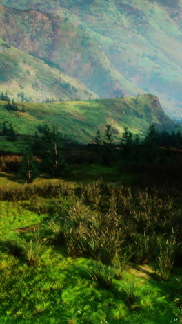 impresionante vista de un verde valle de montaña