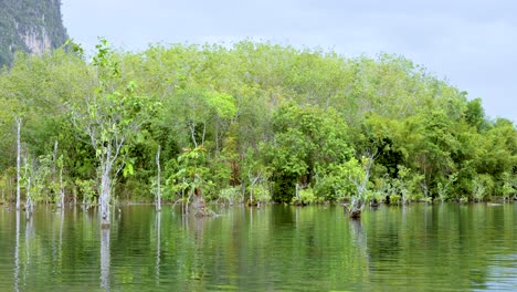 scenic view of lush greenery along tranquil clear water canal