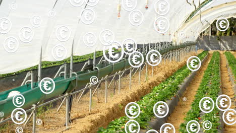 euro currency symbols floating over greenhouse with growing plants