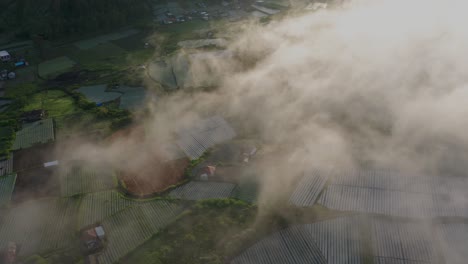 mist slowly flowing over rural village in bali with famous rice paddy fields, aerial