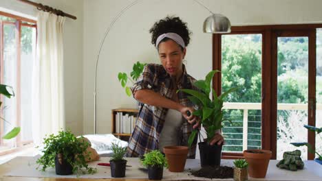 caucasian woman vlogging, potting plants at home