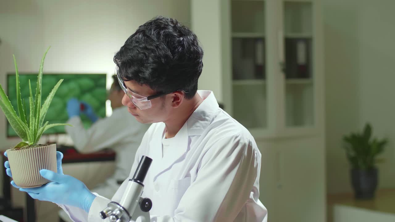 Asian Man Researcher Looking At Aloe Vera. Scientist Observing Genetic Mutation On Plants, Working In Agriculture Laboratory