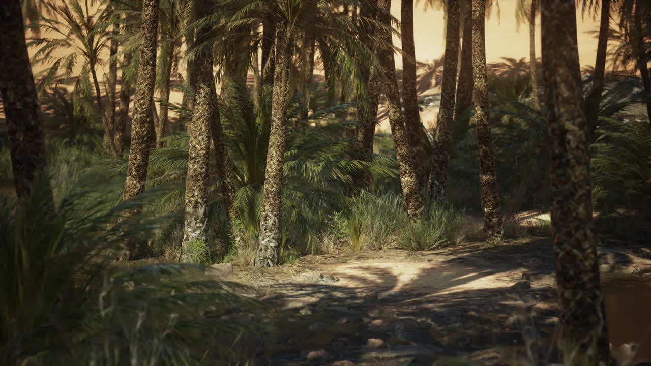 사막 오아시스 풍경