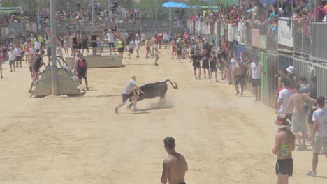 exciting bull running event in a sandy arena