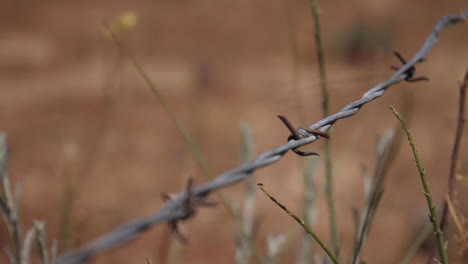 Stacheldraht-Und-Gras-Bläst-Im-Wind-In-Der-Nähe-Von-Kern-River,-Kalifornien